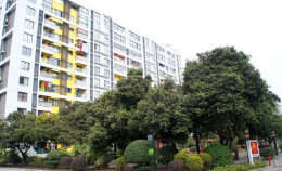 万正·西区国际