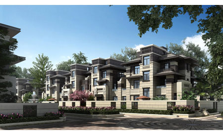 安厦·漓江源著