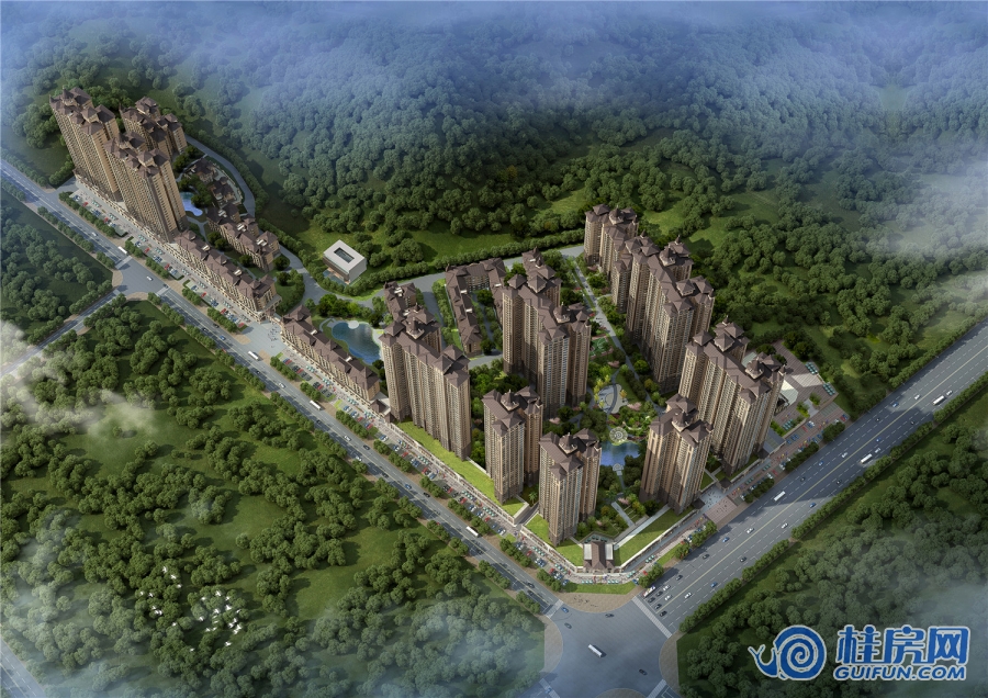碧园香槟小镇鸟瞰图