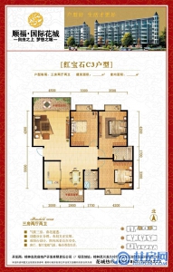 9#C3户型三房两厅两卫