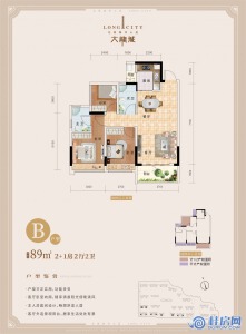 大龙城B户型2+1房