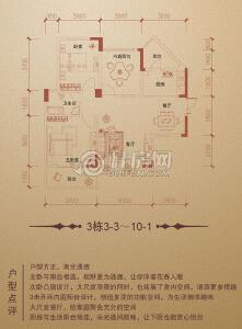兴进·中央尊馆3栋3-3～10-1户型两房两厅一卫