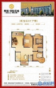 9#C3户型三房两厅两卫