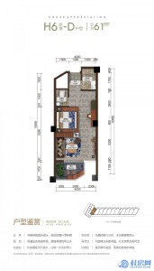 H6D户型