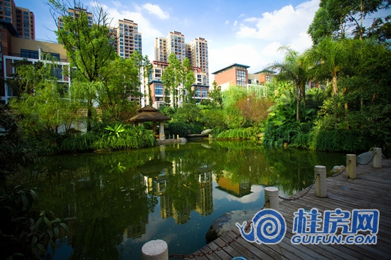 博望园小区实景图