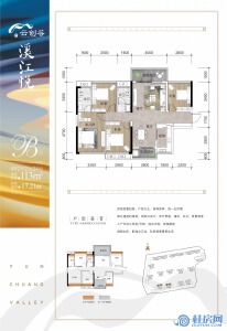 溪江悦一期B户型113平米
