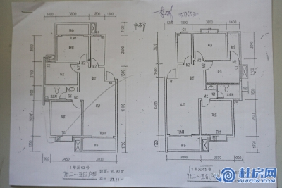 阳光里7#1单元户型图