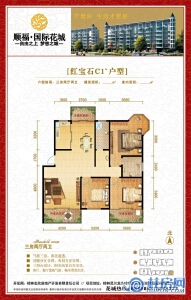 11#C1户型三房两厅两卫