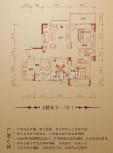 兴进·中央尊馆3栋4-3～10-1户型两房两厅一卫