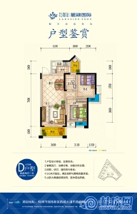 10#楼D户型：80㎡两房两厅一卫