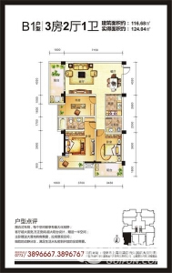 安厦?港湾雅居B1户型 三房两厅一卫 116.68㎡