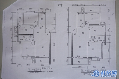 阳光里7#3单元户型图