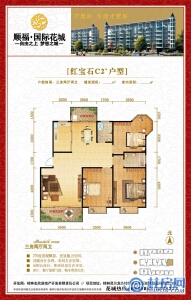 10#C2户型三房两厅两卫