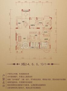 兴进·中央尊馆3栋2-4、6、8、10-1户型三房两厅一卫