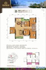 金柯御城D户型图
