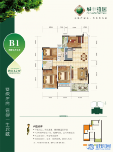 城中雅居B1户型