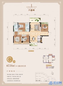 大龙城C户型3+1房