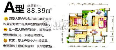 合通巴比伦1期A户型两房两厅两卫88.39㎡