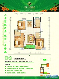 城中雅居D2户型