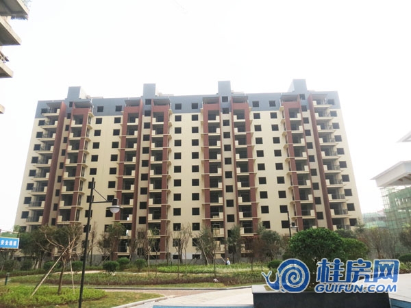 公园大地园林图进度