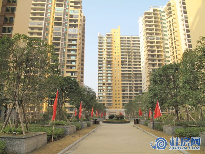 鑫隆公园大地实景图（2015.1.14）