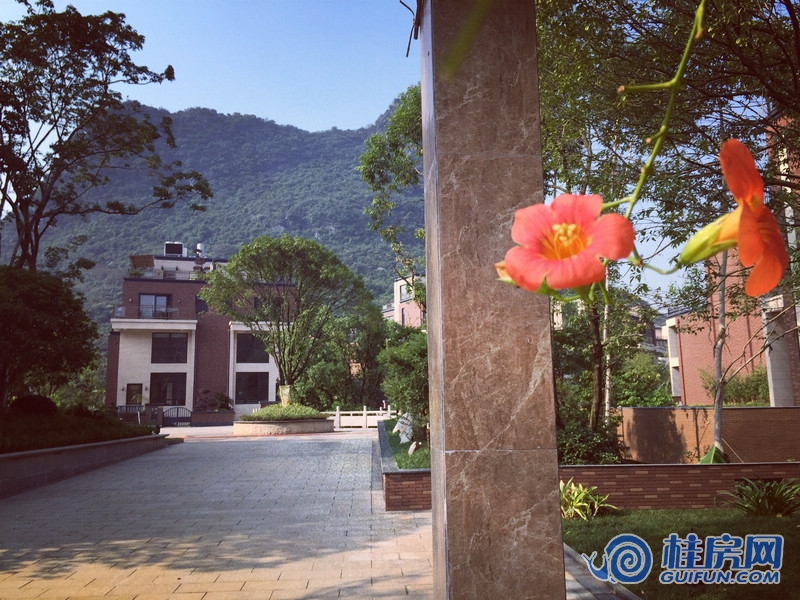 东方亭院实景图（2015.9.21）