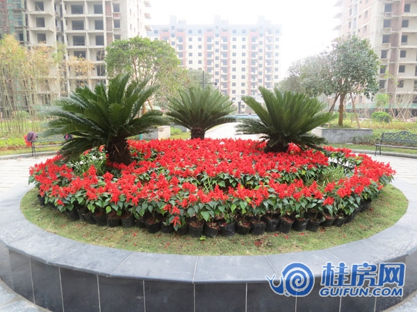 公园大地园林图进度