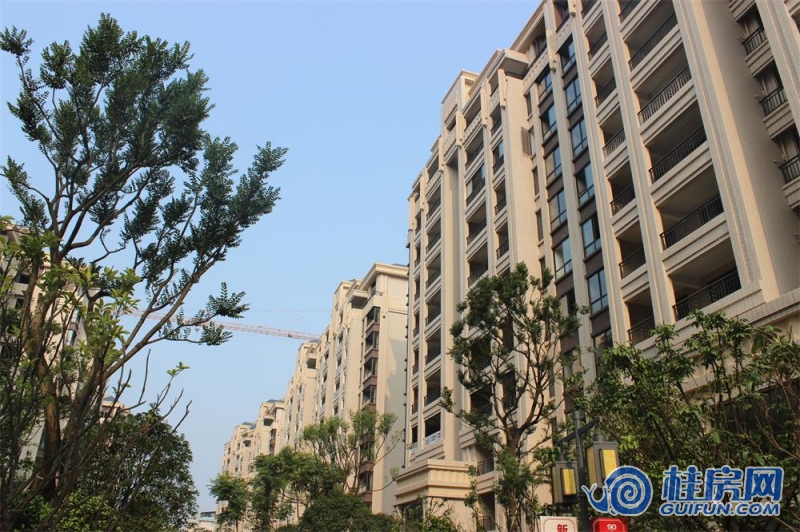 2014年6月实景图