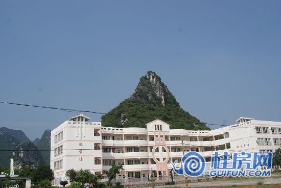 周边启明星小学