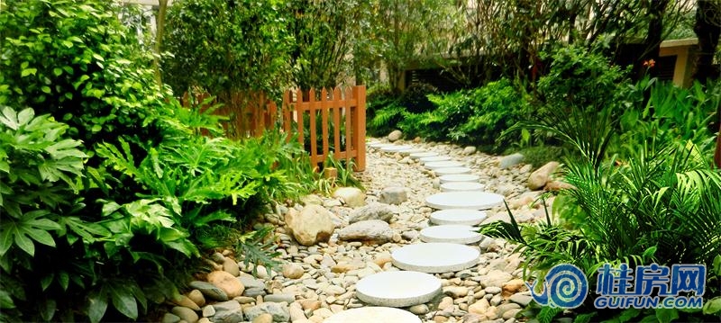 项目实景图（2014.6）