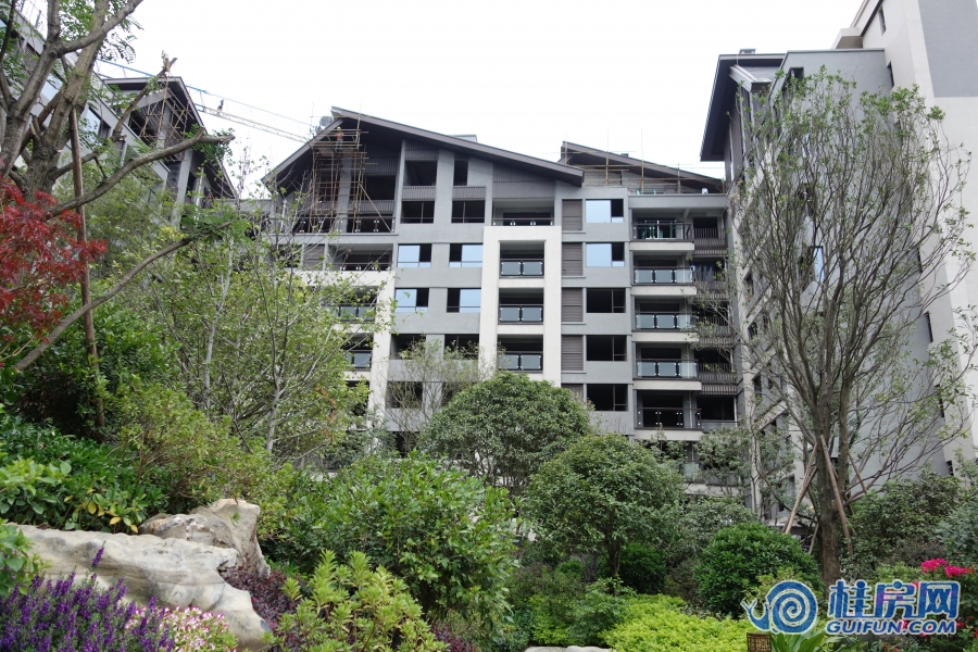 兴进漓江郡府工程进度 园林