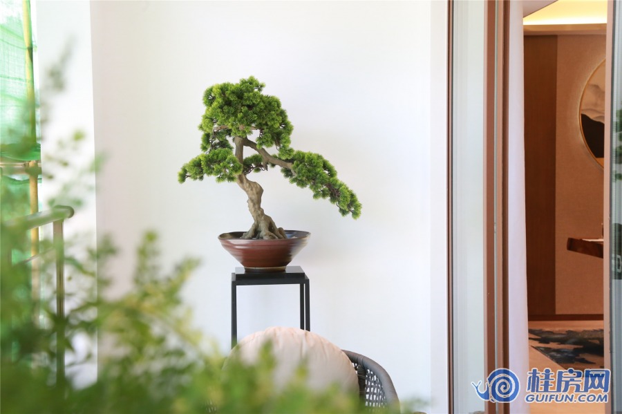 大龙湾样板间2（2019.5）