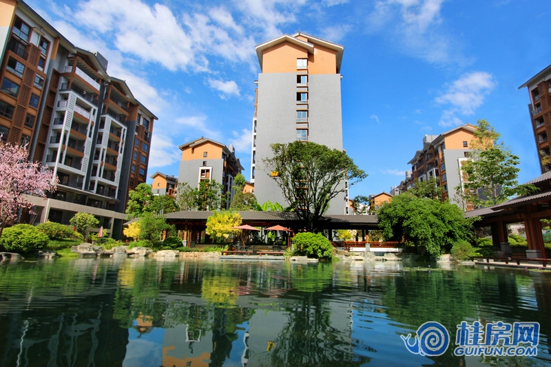 彰泰·春天唐悦中心园林实景图（2015.8.18）
