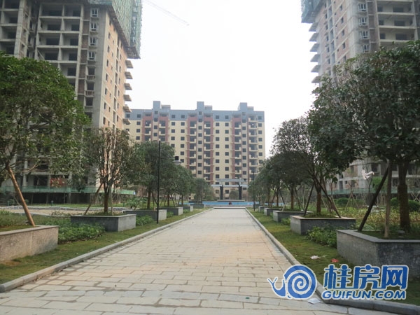 公园大地园林图进度