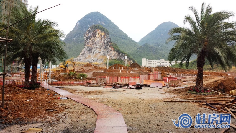 花语倾城园林实景图（2015.1.10）