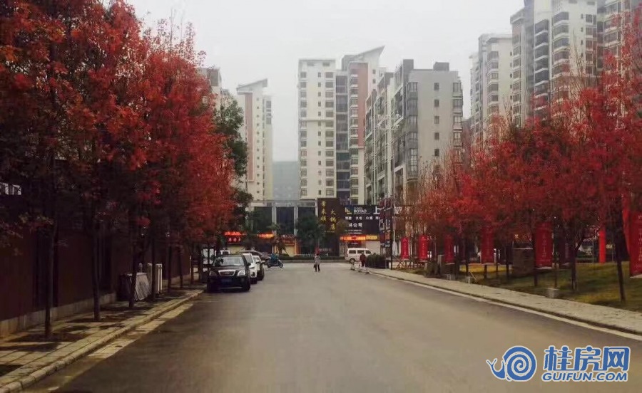 时代枫林实景图（2019.3.4）