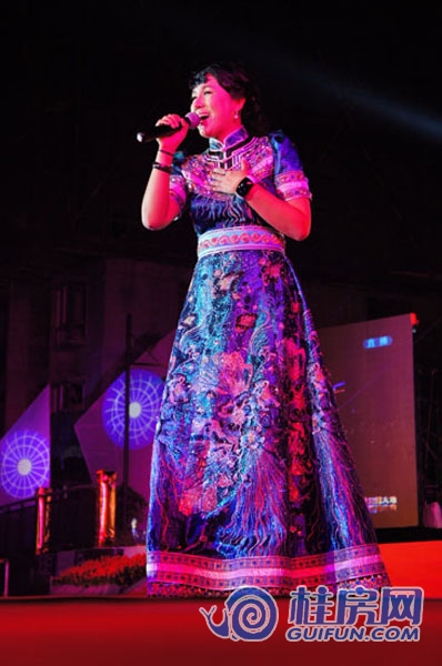 2013.10.15明星演唱会活动