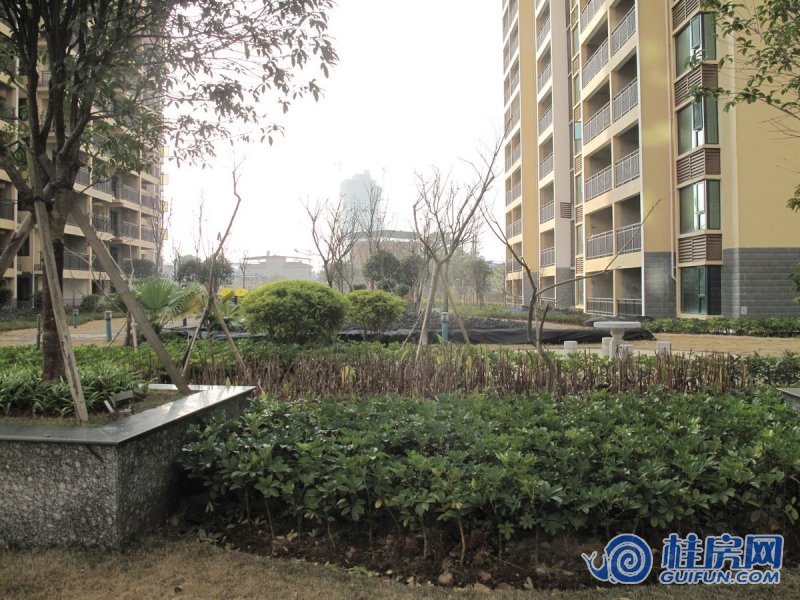 鑫隆公园大地实景图（2015.1.14）