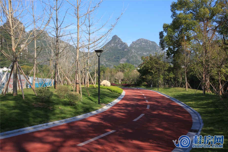 大龙湾实景图（2019.5）