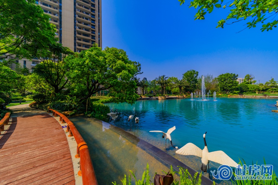 恒大城图 (2019.5)