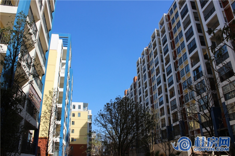 一品尚城实景图（2014.12.16）