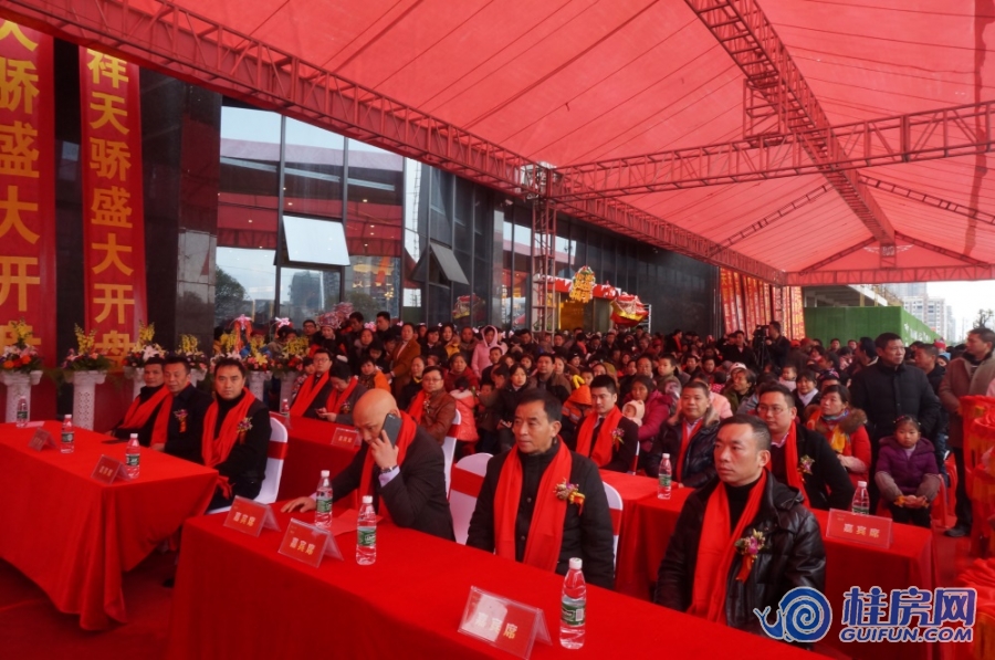 顺祥·天骄首期开盘（2018.1.6）