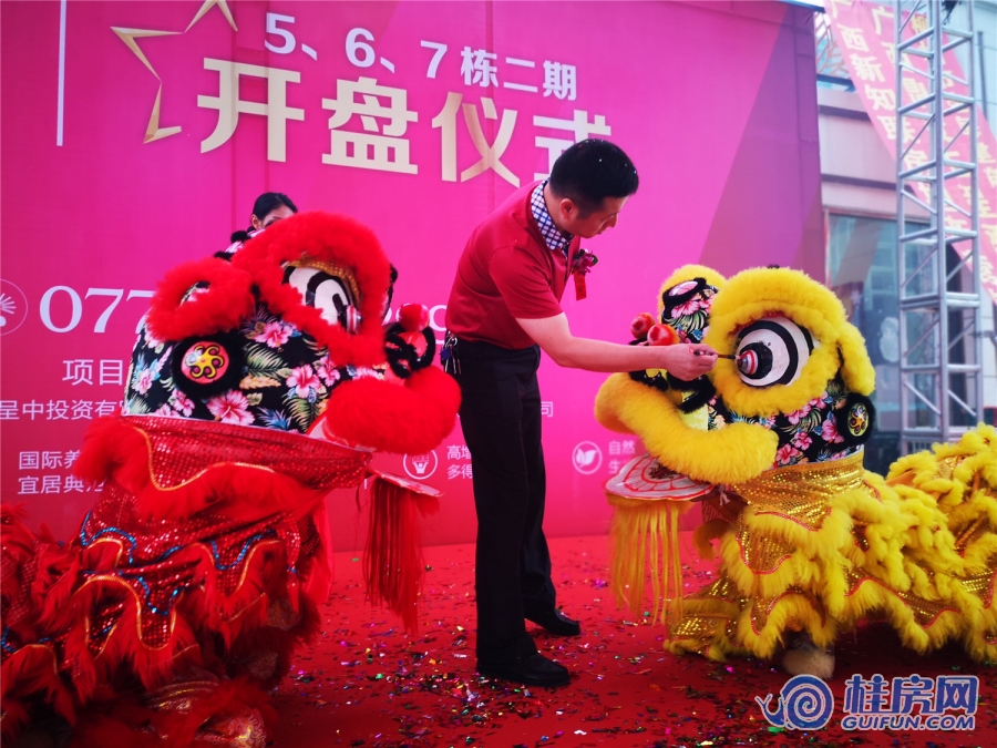 城中雅居二期5#6#7#楼开盘（2018.6.3）