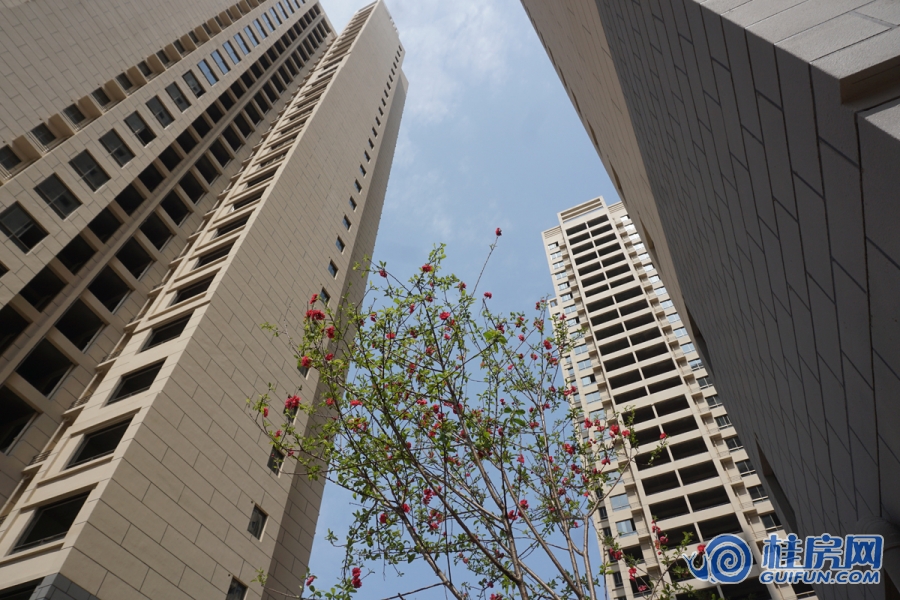 中豪国际实景图（2017.3.2）