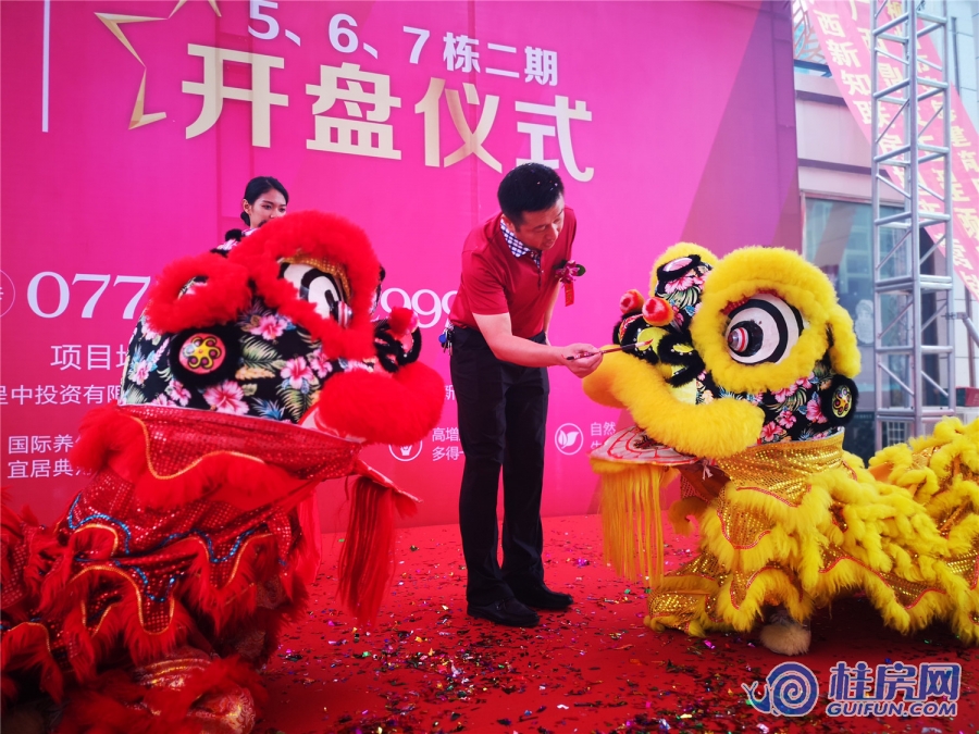城中雅居二期5#6#7#楼开盘（2018.6.3）