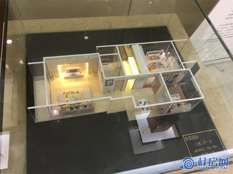 东苑国际销售中心户型模型实景（2016.11）