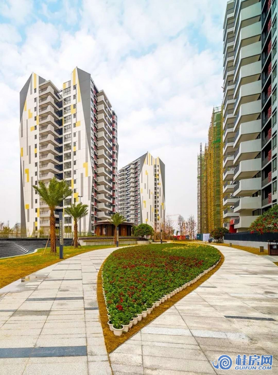 棠棣之华（2018.4）