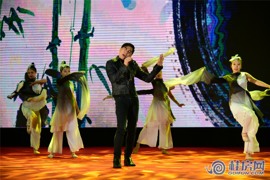 希宇漓江湾群星演唱会（2019.11.23）