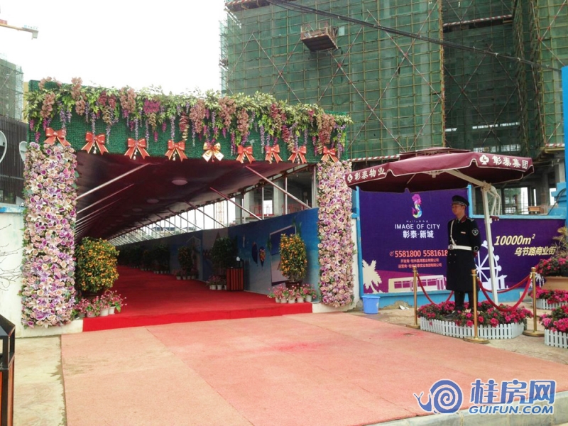 彰泰新城工程进度图