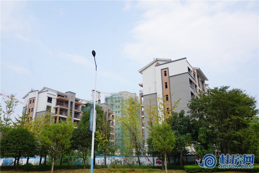 信和信大中华养生谷工程进度图（2017.10.28）